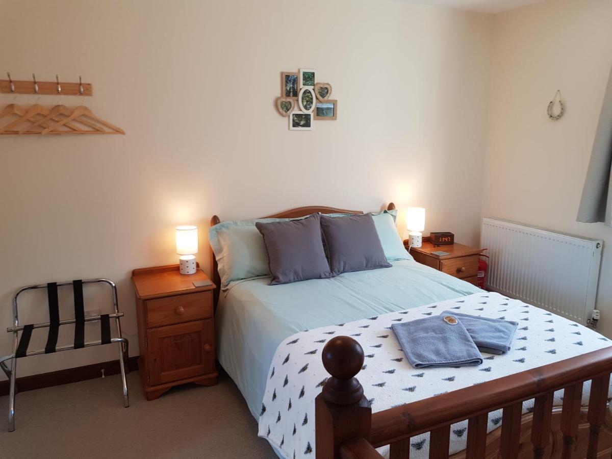 The Beehive - Self Catering In The Heart Of The Forest Of Dean Whitecroft Buitenkant foto